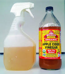 apple cider vinegar for dogs whole