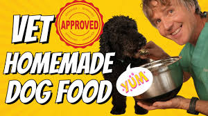 vet approved homemade dog food good