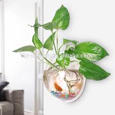 Indiana glass green oval fruit bowl in harvest design in satin or frosted finish. Best Products Heart Shaped Acrylic Fish Bowl My Orders With Alibaba Buy Heart Shaped Acrylic Fish Bowl Heart Shaped Acrylic Fish Bowl Acrylic Fish Aquariumsmall Acrylic Aquarium Product On Alibaba Com