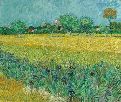 With Irises Near Arles Van Gogh Museum