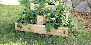 They even built the wooden pyramid on caster wheels so you can easily move it around when completed. Make A Sleek Tiered Strawberry Planter Better Homes Gardens