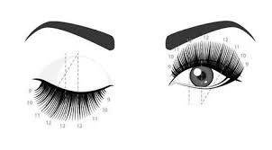 Lash Chart Jc Luxury Lashes