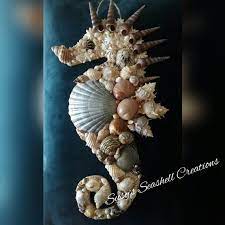 Seahorse Seas Seahorse Seahorse