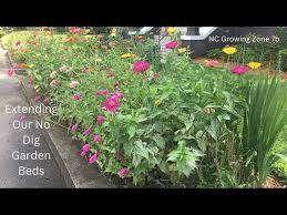 Urban Gardening Edible Gardens