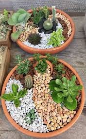 Mini Succulent Flower Beds