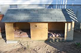 5 Droolworthy Diy Dog House Plans