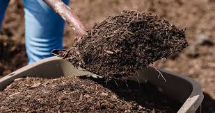 The Best Compost For Clay Soil Tips To