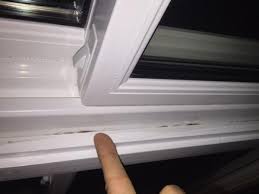 fix e between window trim