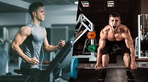 cardio exercises vs weight lifting