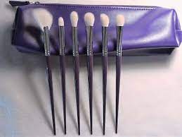 lush plum eyeshadow brush set high