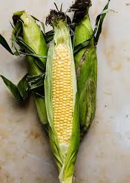How long to boil corn with husk. Sweet Boiled Corn How To Boil Corn Perfectly Salt Baker