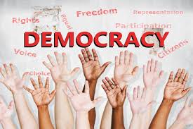 What Are The Different Types And Forms Of Democracy