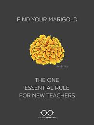 essential rule for new teachers