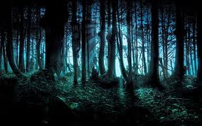 dark enchanted forest hd wallpapers