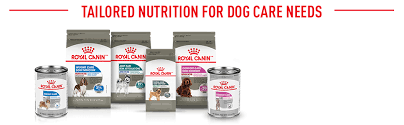 Royal Canin Maxi Nutrition Sensitive Digestion Dry Food For Dog