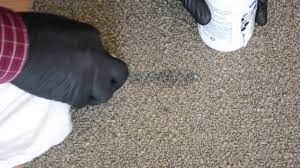 how to remove highlighter from carpet