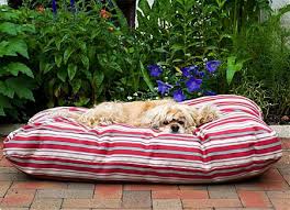 Buy Indoor Outdoor Striped Dog Bed At