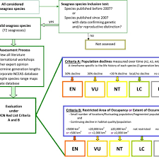 Flow Chart Iucn Red List Assessment For All Seagrass Species