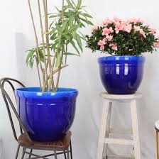 China Flower Pot And Plant Pot