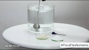 Floraflex Powder Nutrients Vs Liquid