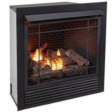 dual gas fireplace insert