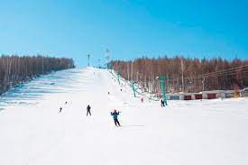 30 лучших горнолыжных курортов в Москве и Подмосковье