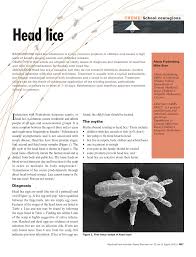 pdf head lice