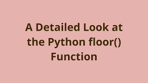 a detailed look at the python floor