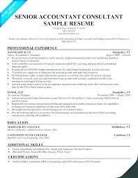 Sample Resume Of Accountant Putasgae Info