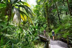9 colorful big island botanical gardens