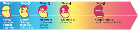 Kidney Disease Info Causes Stages