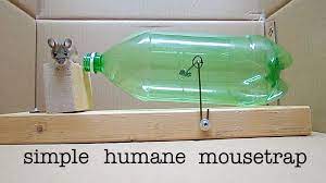 souris avec une simple bouteille plastique