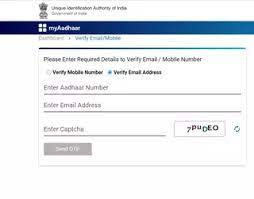 verify phone number email for aadhaar