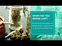 Click here to learn some of the basics. How Long Does Marijuana Stay In Your System Urine And Hair Test