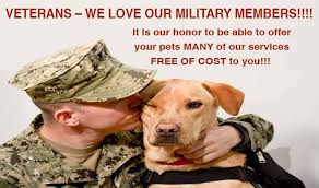 They also appear in other related business categories including dog training , pet grooming , and pet services. Pinellas County Animal Services Pcas Assistance To Veterans For Their Cat Or Dog Provided By East Bay Animal Hospital