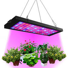Us 27 53 40 Off Dbf Led Grow Lights Panel For Indoor Plants 40w Indoor Plant Light 75leds Uv Ir Full Spectrum Grow Lamp Hydroponics Greenhouse In
