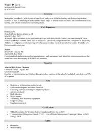 cleaner resume sle for 2023 resume
