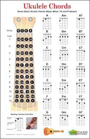 Ukulele Chord Fingering Charts And Fret Board Poster