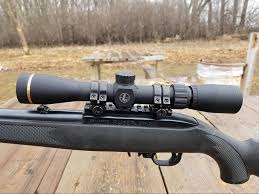 7 best ruger 10 22 scopes red dots