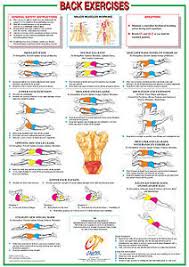 Details About Back Muscles Floor Exercise Poster Lumber And Core Muscle Workout Gym Chart