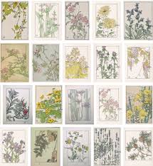 20th 21st century botanical artists