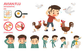 I would like to acquire the usage rights to this image. Bird Flu Cliparts Stock Vector And Royalty Free Bird Flu Illustrations