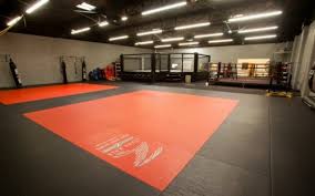 mma mats for grappling wrestling