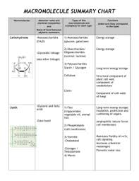Macromolecule Summary Chart