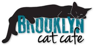 2017 is a great time to be alive, especially in new york city. Brooklyn Cat Cafe Catcafebk