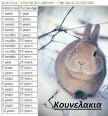 This Chart Really Helps Put Your Rabbits Age In Perspective