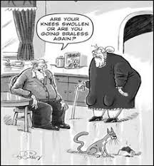 Aging gracefully on Pinterest | Old Age Humor, Retirement Poems ... via Relatably.com