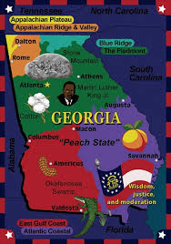 state the facts georgia rug jc1562