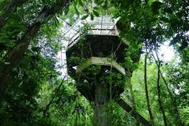 Image result for Costa Rica tropical architecture