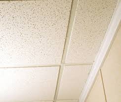 bat drop ceiling tiles in